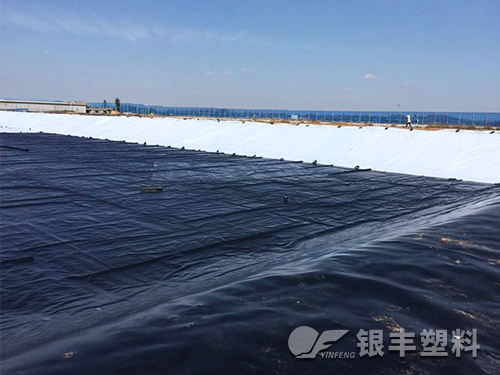 摩登6建筑膜
