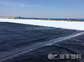 摩登6建筑膜